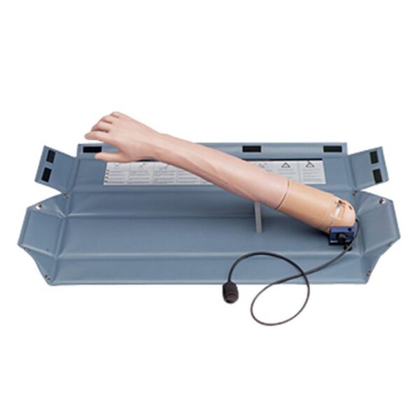 Manichino I.V. Trainer